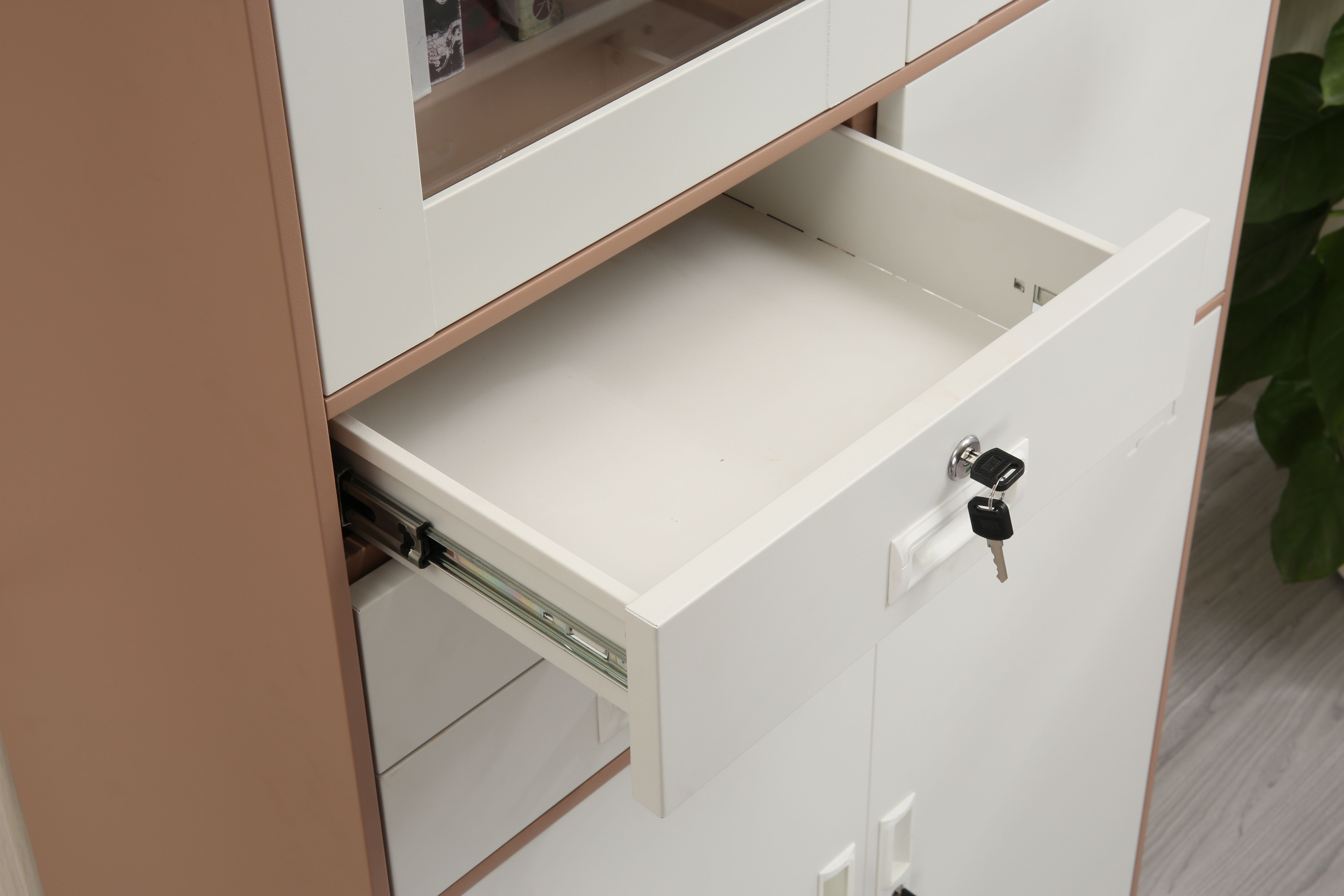 IMGL4982(1).jpg